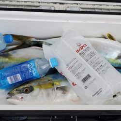 遊漁船 ニライカナイ 釣果