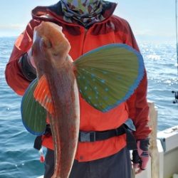 遊漁船 ニライカナイ 釣果