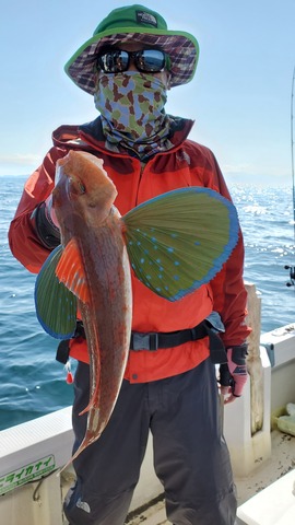 遊漁船 ニライカナイ 釣果