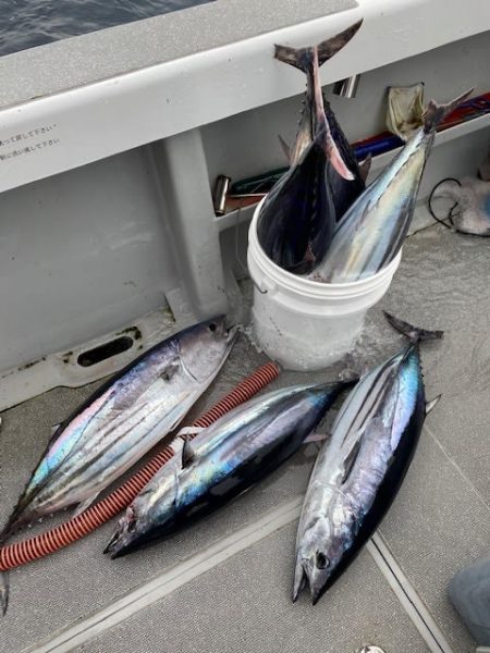 へいみつ丸 釣果