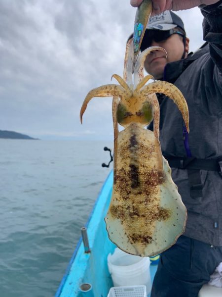 宝昌丸 釣果