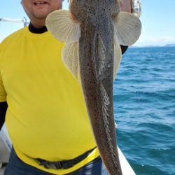 遊漁船 ニライカナイ 釣果