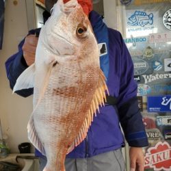 遊漁船 ニライカナイ 釣果