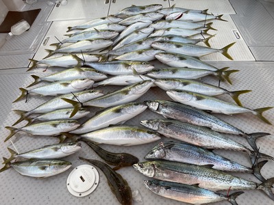 ミタチ丸 釣果