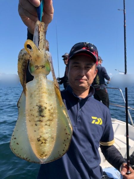 Magic（マジック） 釣果