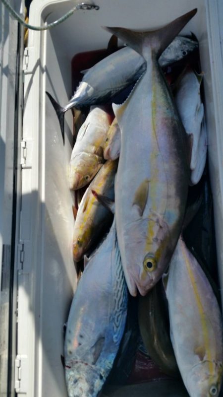 第五慶門丸 釣果