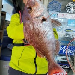 遊漁船 ニライカナイ 釣果