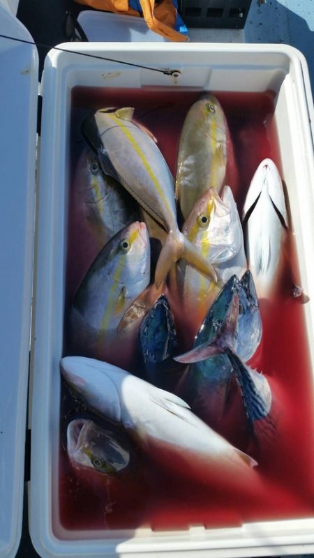 第五慶門丸 釣果