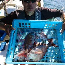 たかみ丸 釣果