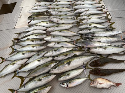 ミタチ丸 釣果
