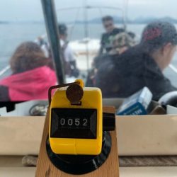 Magic(マジック) 釣果