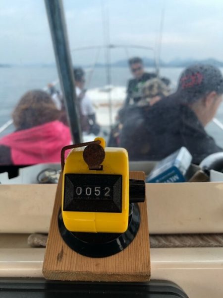 Magic(マジック) 釣果