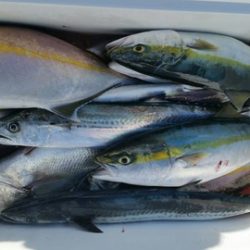 第五慶門丸 釣果