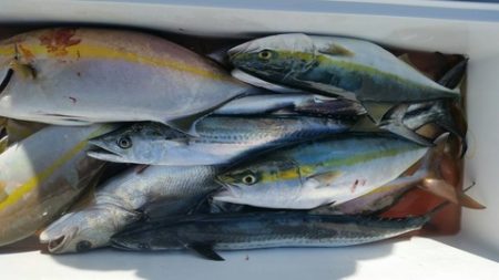 第五慶門丸 釣果