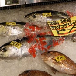 フィッシングボート空風（そらかぜ） 釣果