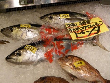 フィッシングボート空風（そらかぜ） 釣果