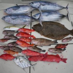 TOPGUN名古屋 釣果