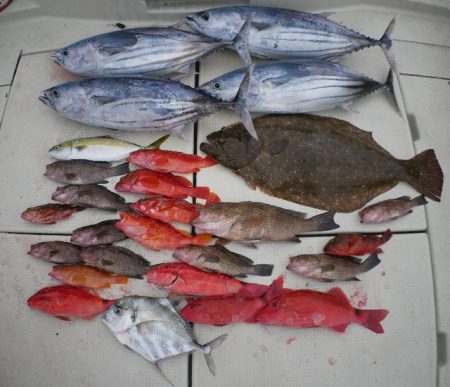 TOPGUN名古屋 釣果