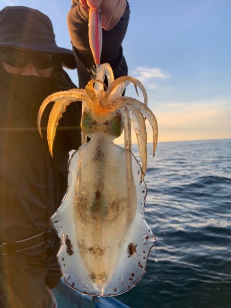 宝昌丸 釣果