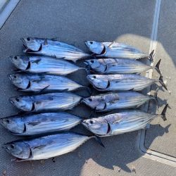 へいみつ丸 釣果