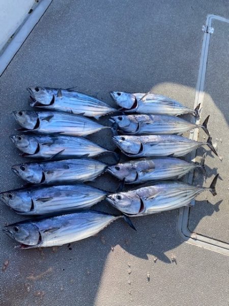 へいみつ丸 釣果