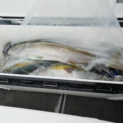 第二大福丸 釣果