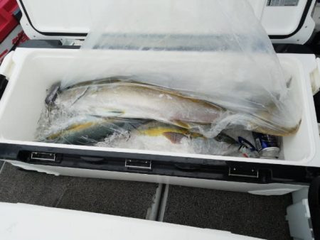 第二大福丸 釣果