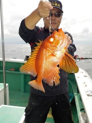 第二むつ漁丸 釣果
