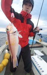功晴丸 釣果