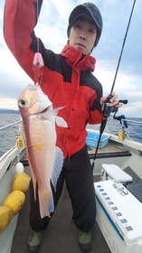 功晴丸 釣果