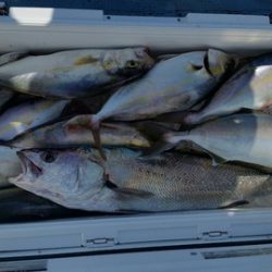 第五慶門丸 釣果