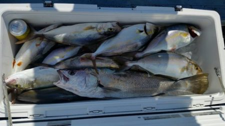 第五慶門丸 釣果