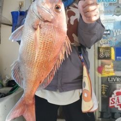 遊漁船 ニライカナイ 釣果