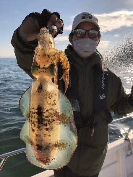 Magic（マジック） 釣果