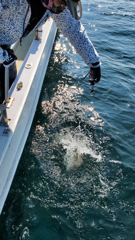 遊漁船 ニライカナイ 釣果
