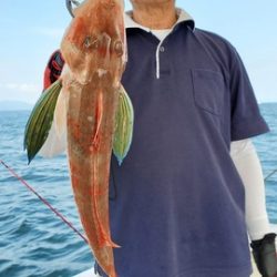 遊漁船 ニライカナイ 釣果