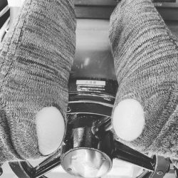 遊漁船 ニライカナイ 釣果