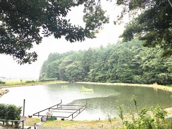 フィッシング サンクチュアリ 釣果