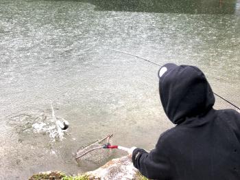 フィッシング サンクチュアリ 釣果