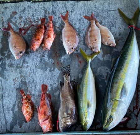 明神釣船 釣果