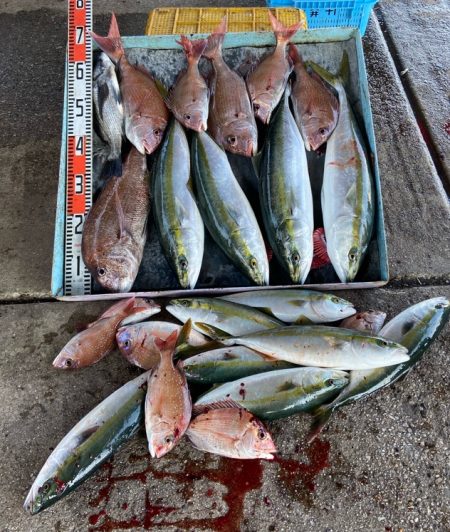 明神釣船 釣果