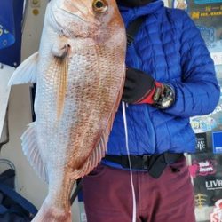 遊漁船 ニライカナイ 釣果