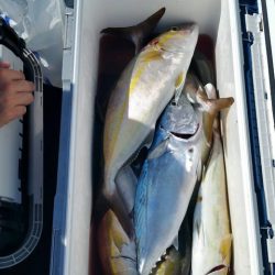 第五慶門丸 釣果