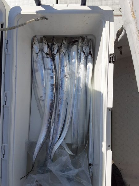 遊漁船 遊友 釣果