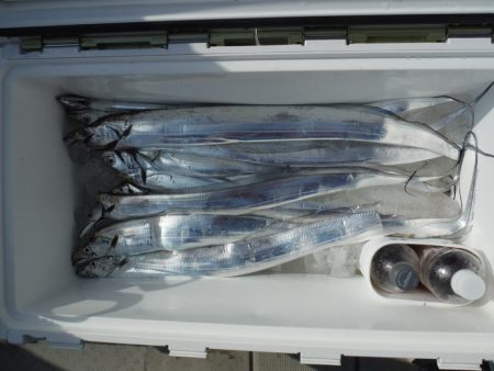 遊漁船 遊友 釣果