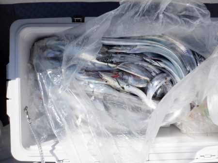 遊漁船 遊友 釣果