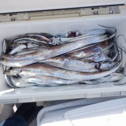 遊漁船 遊友 釣果