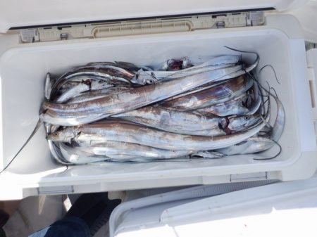 遊漁船 遊友 釣果