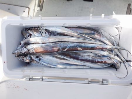 遊漁船 遊友 釣果