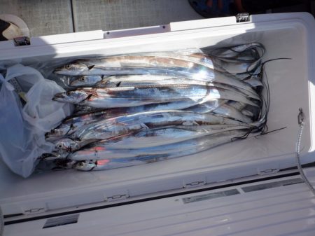 遊漁船 遊友 釣果